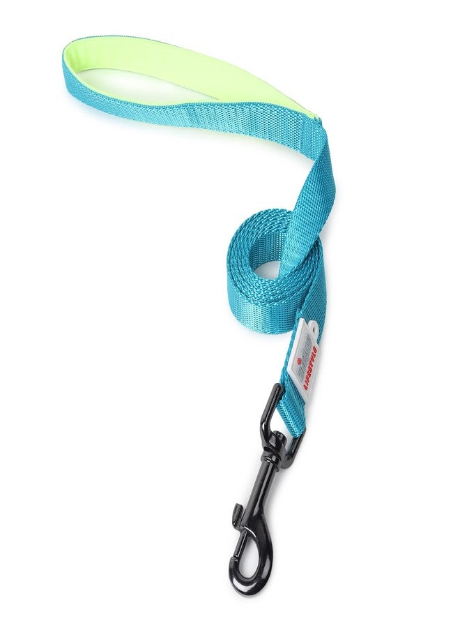 Zigly Lifestyle Classic Dog Leash-Large-Neon Green | Long Padded Leash for Large Dogs | Comfortable Strong Leash for Pets - Image 1